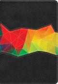 NIV Rainbow Study Bible Indexed Kaleidoscope Black LeatherTouch - N/A - Re-vived.com
