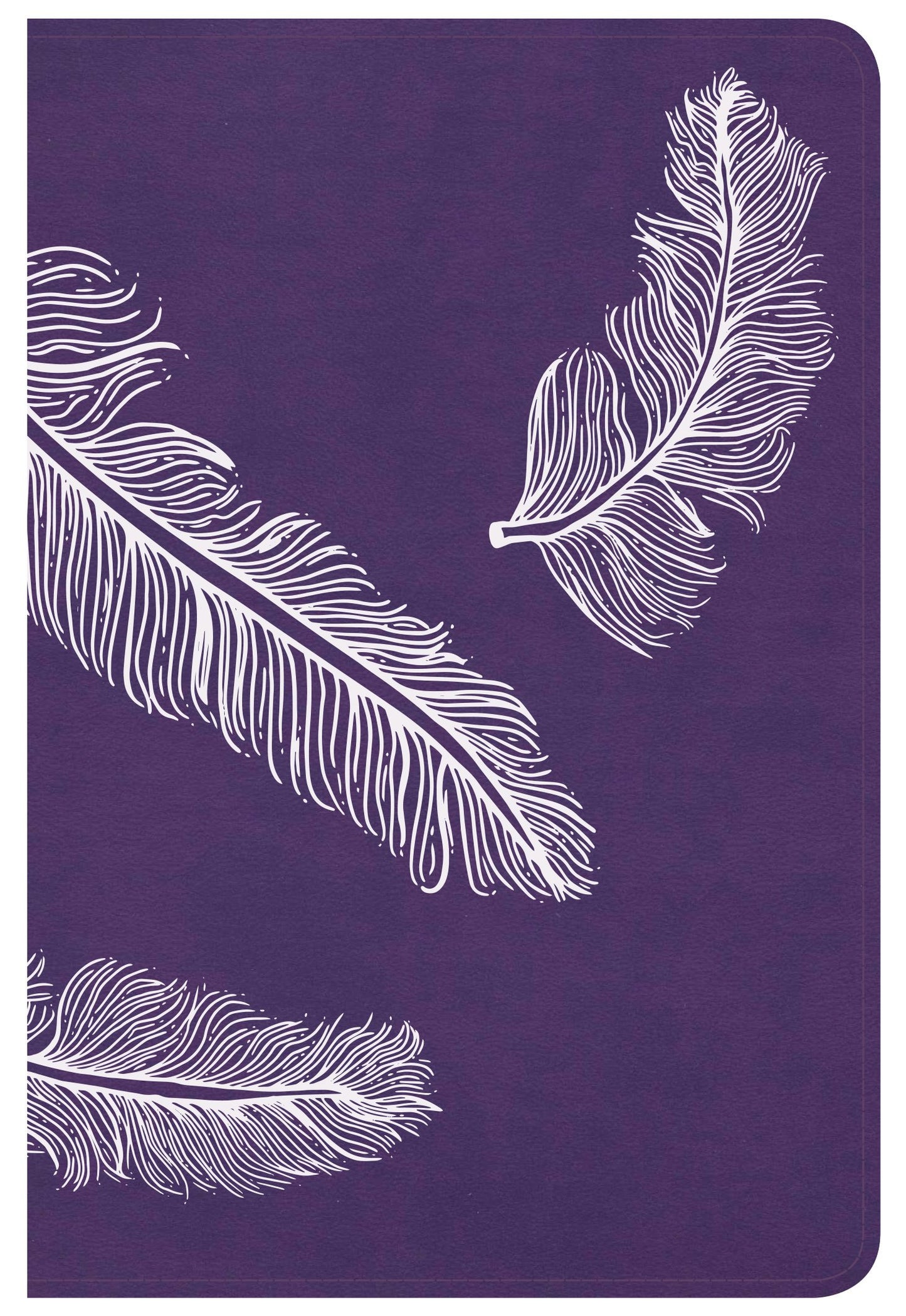 CSB: Compact Ultrathin Bible for Teens, Plum, Feathers