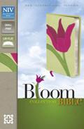 NIV Compact Tulip Softcover Bible - N/A - Re-vived.com
