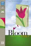 NIV Thinline Tulip Bible - N/A - Re-vived.com
