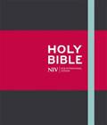 NIV Journalling Bible Charcoal Cloth Hardback - N/A - Re-vived.com