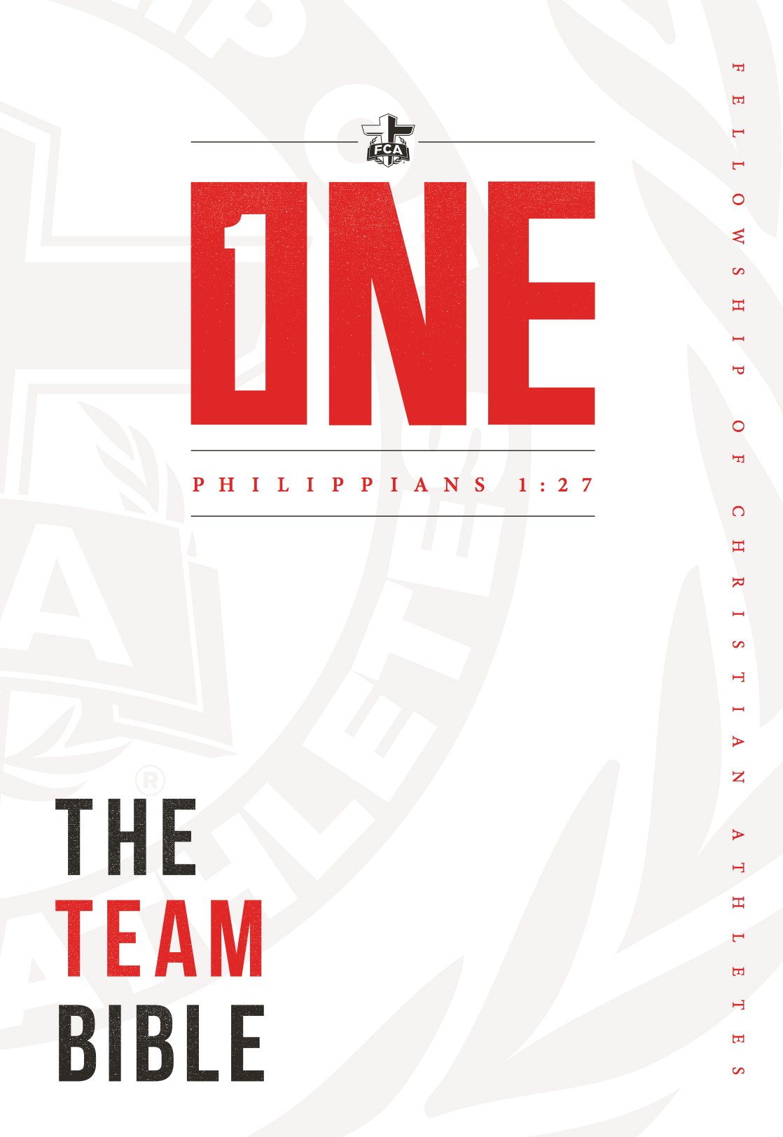 Team Bible: One Edition├è