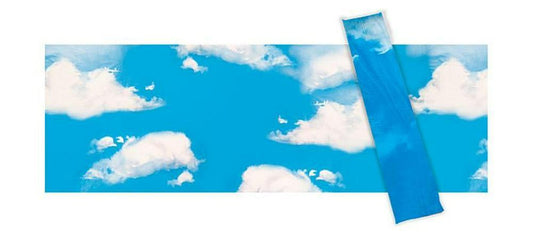 Sky With Clouds Plastic Backdrop (Pack of 2)