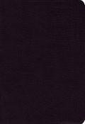 NIV Study Bible Black Bonded Leather - N/A - Re-vived.com