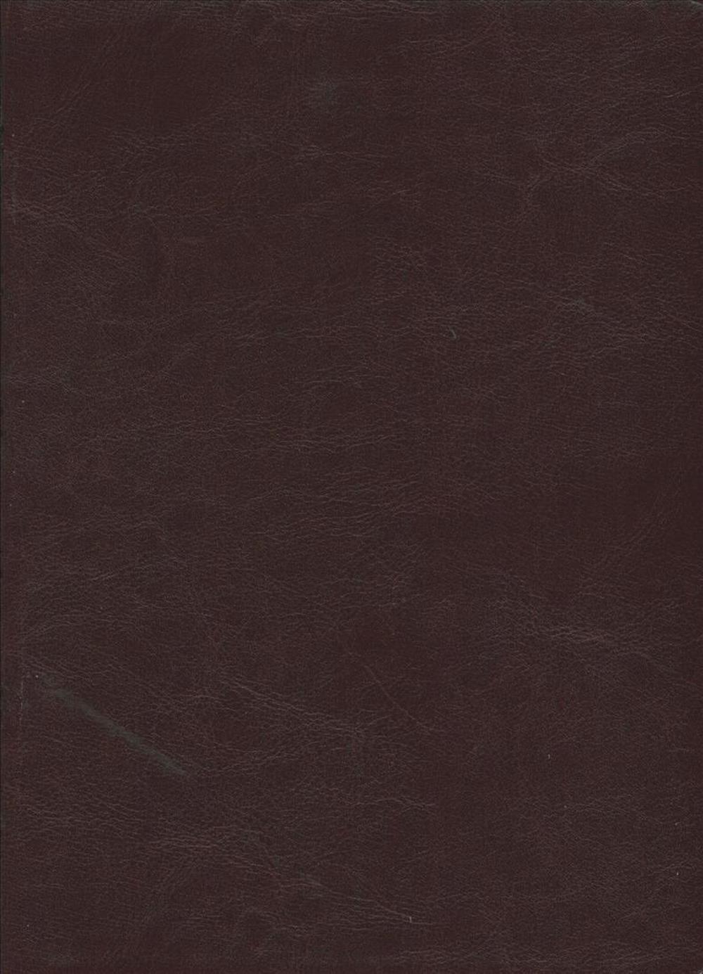 Santa Biblia Ntv, Edición Clásica (Spanish) Imitation Leather, Red