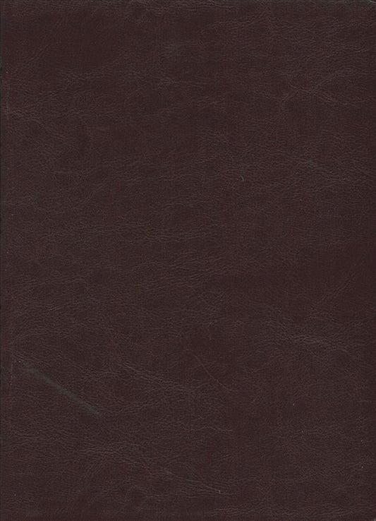 Santa Biblia Ntv, Edición Clásica (Spanish) Imitation Leather, Red