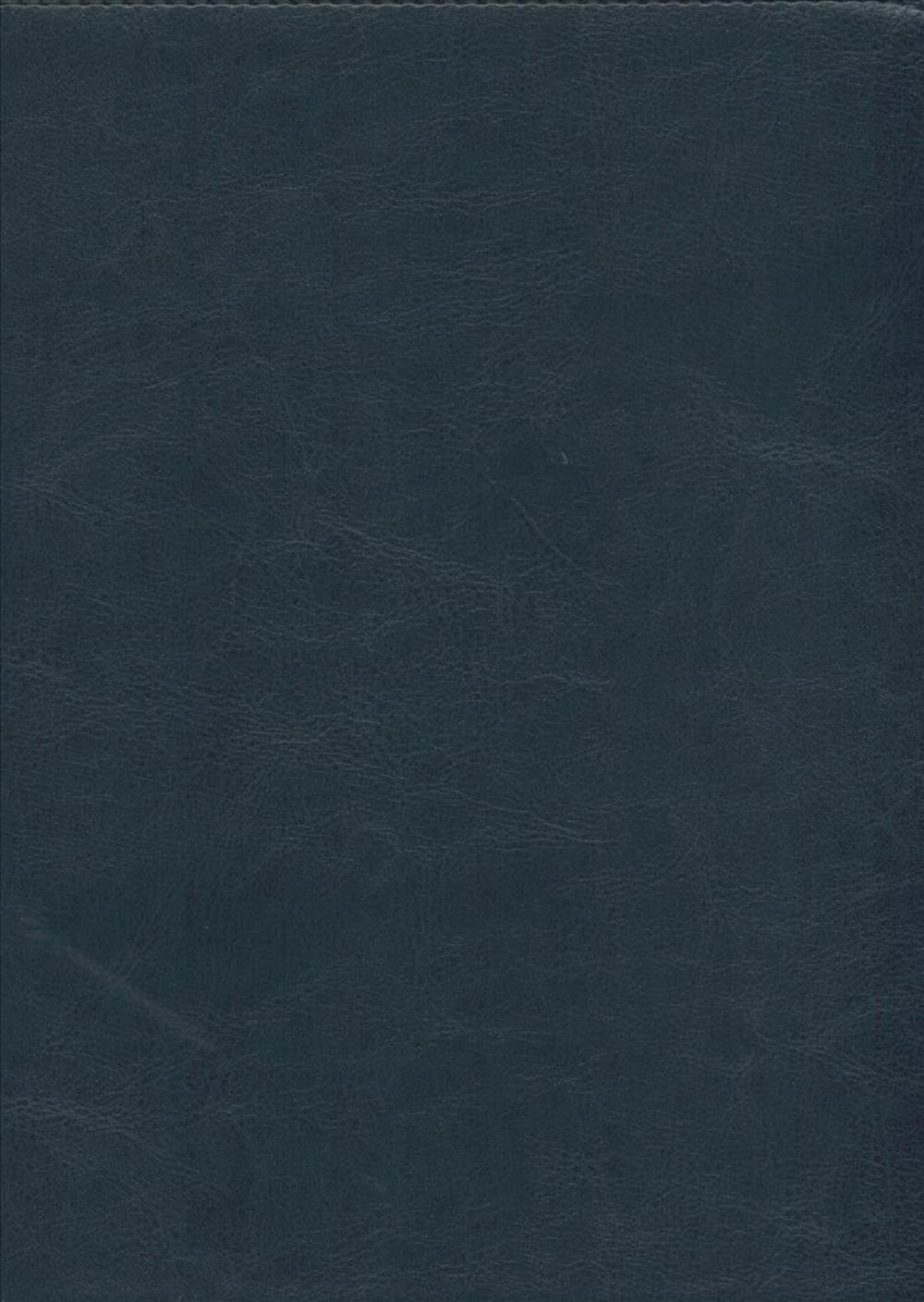 Santa Biblia Ntv, Edición Clásica (Spanish), Letra Gigante, Imitation Leather, Blue