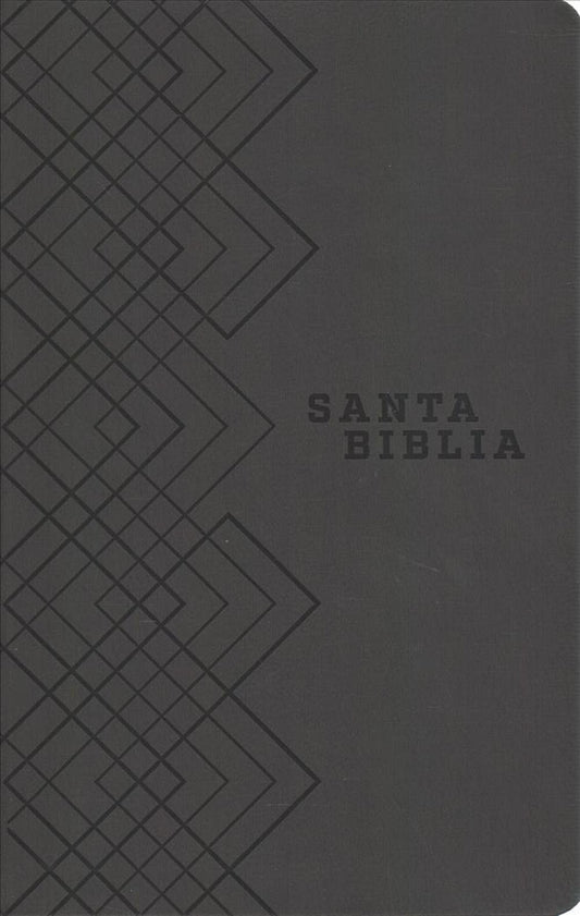 Santa Biblia NTV, Edicin gape (SentiPiel, Gris)
