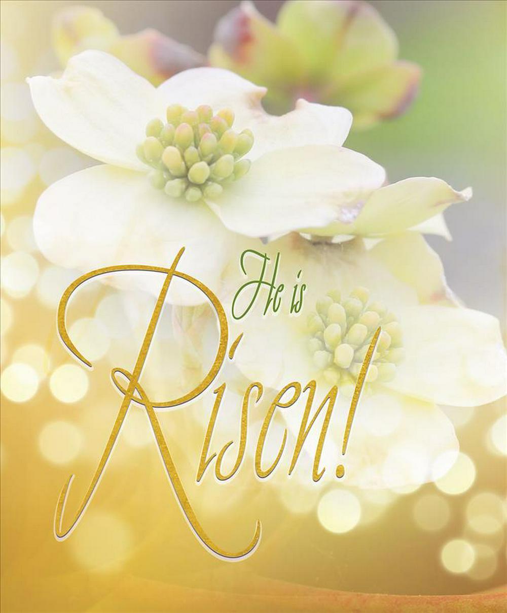 Risen Easter Dogwood Bulletin Large (Pkg of 50)