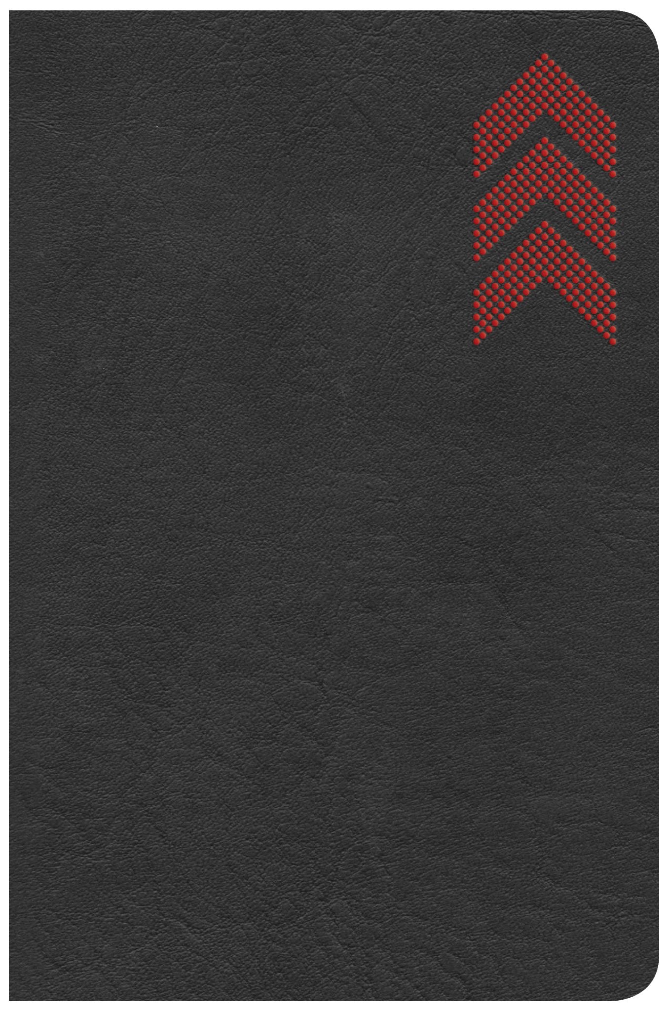 KJV On-the-Go Bible, Charcoal