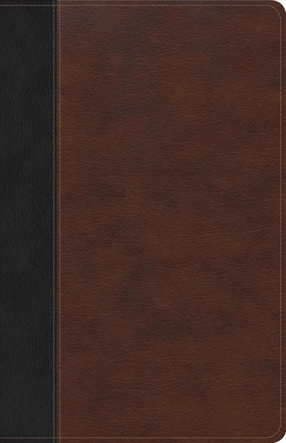 CSB Ultrathin Bible, Brown/Black Leathertouch Indexed
