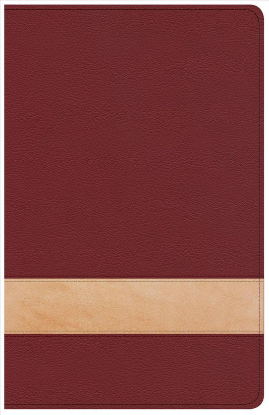 CSB Large Print Personal Size Reference Bible, Crimson/Tan