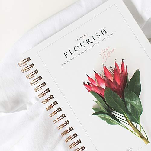 Flourish Mentee Journal, Year One