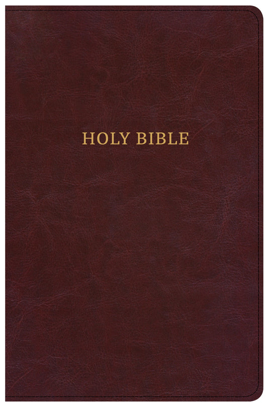 CSB Large Print Personal Size Reference Bible, Burgundy