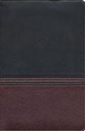 NIV Rainbow Study Bible Brown and Chestnut LeatherTouch - N/A - Re-vived.com