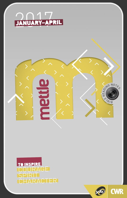 Mettle January - April 2017