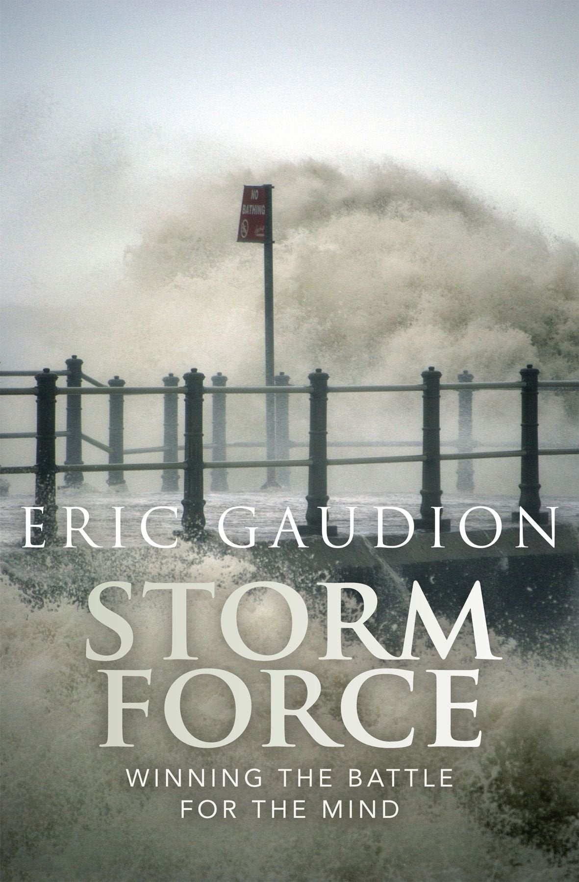 Storm Force