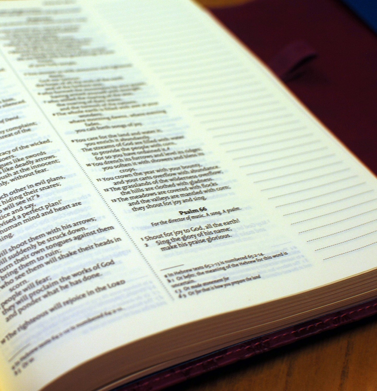NIV Journalling Bible Soft-Tone Leather with Clasp