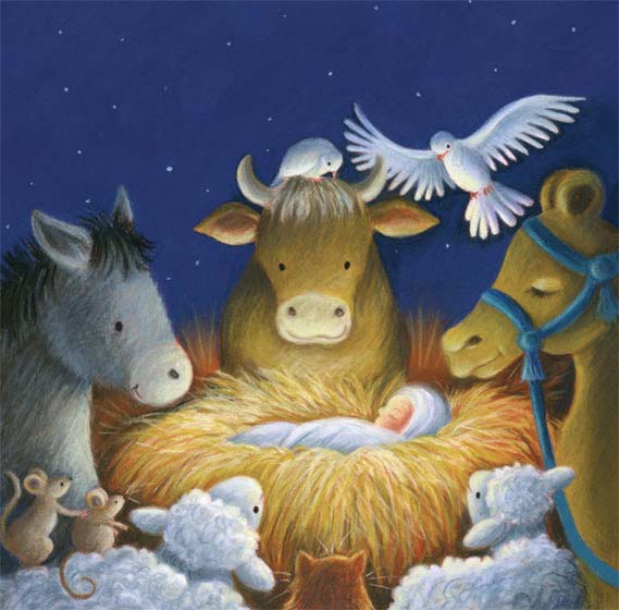 Compassion Charity Christmas Cards: Animals (10 Pack)