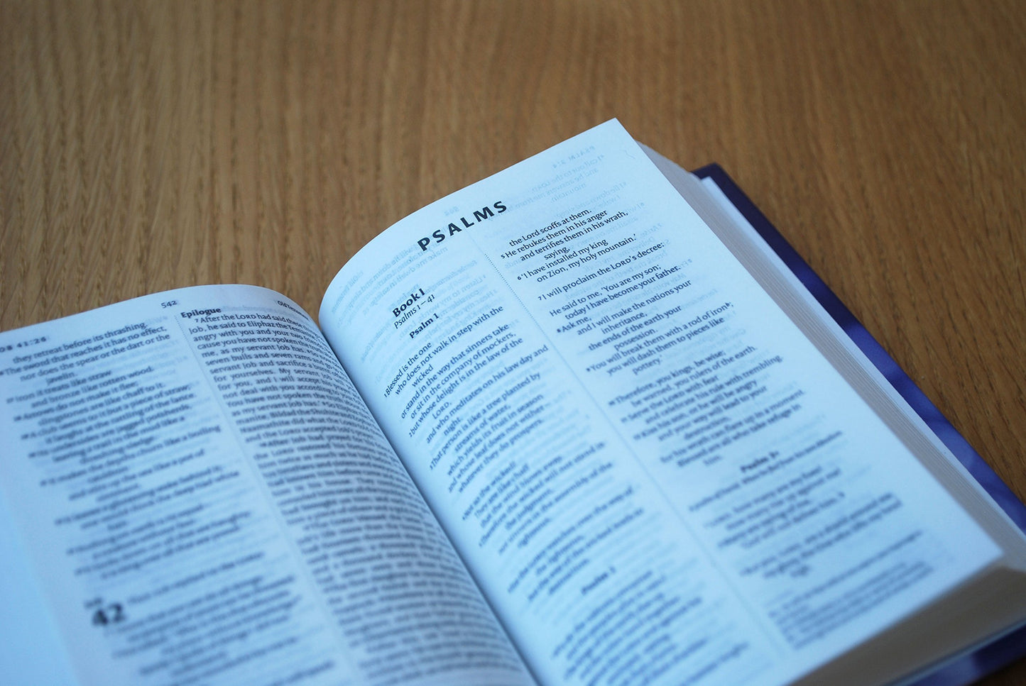 NIV Tiny Hardback Bible