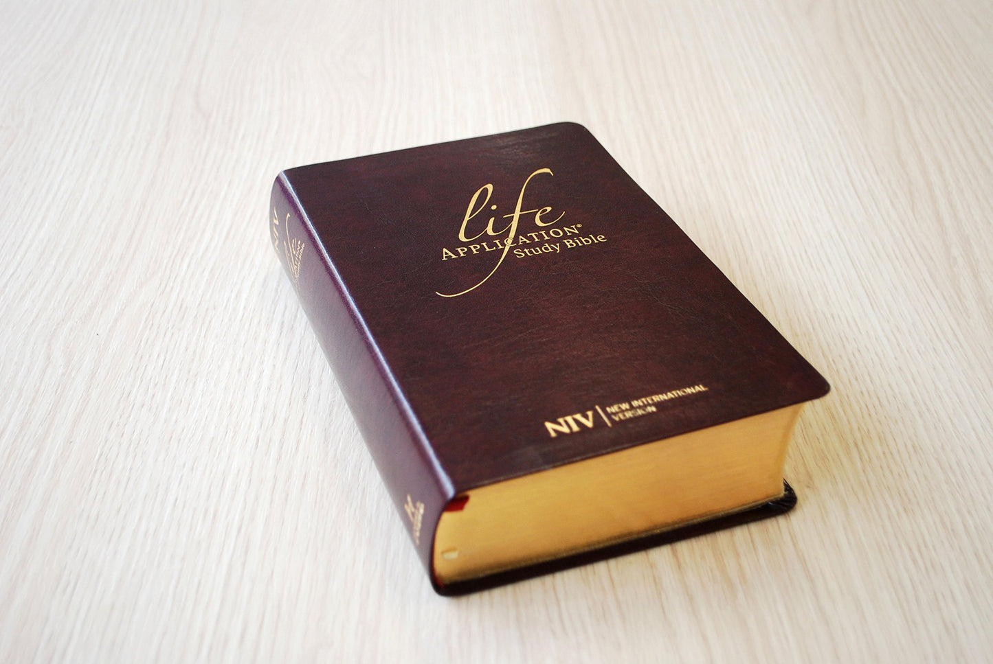 NIV Compact Life Application Study Bible (Anglicised)