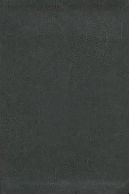ESV New Inductive Study Bible