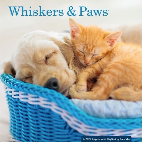 2022 Mini Wall Calendar: Whiskers & Paws
