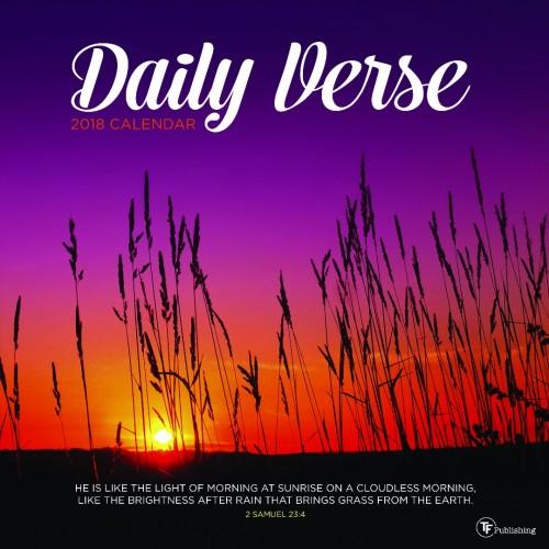 2018 Daily Verse Wall Calendar