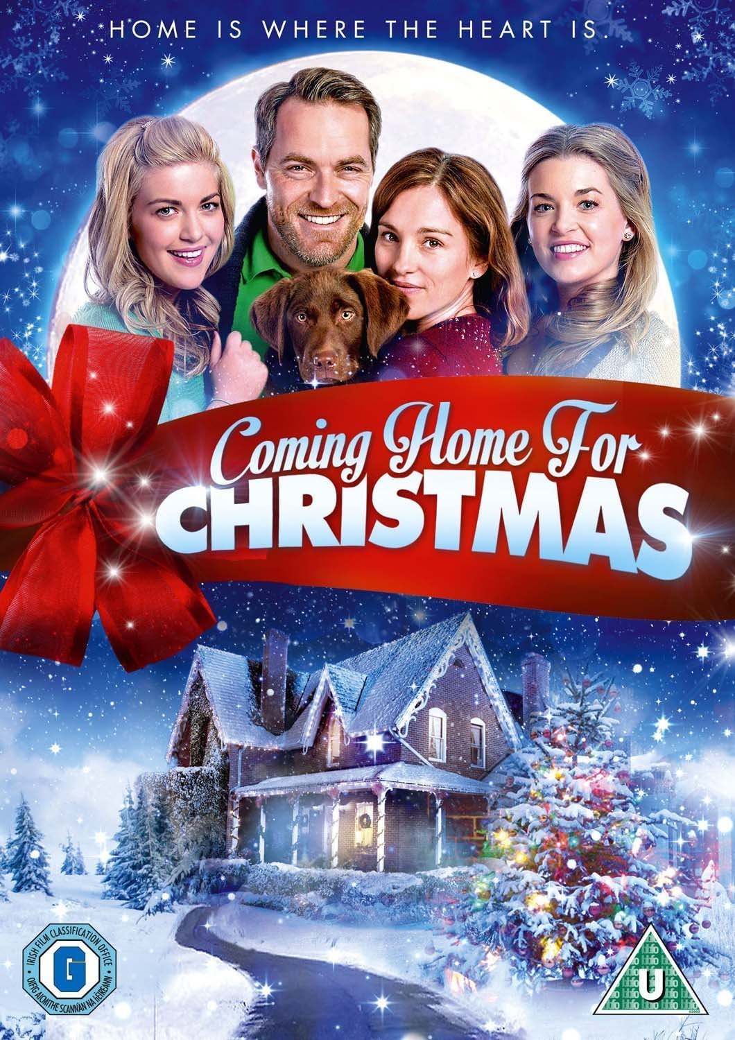 Coming Home for Christmas DVD