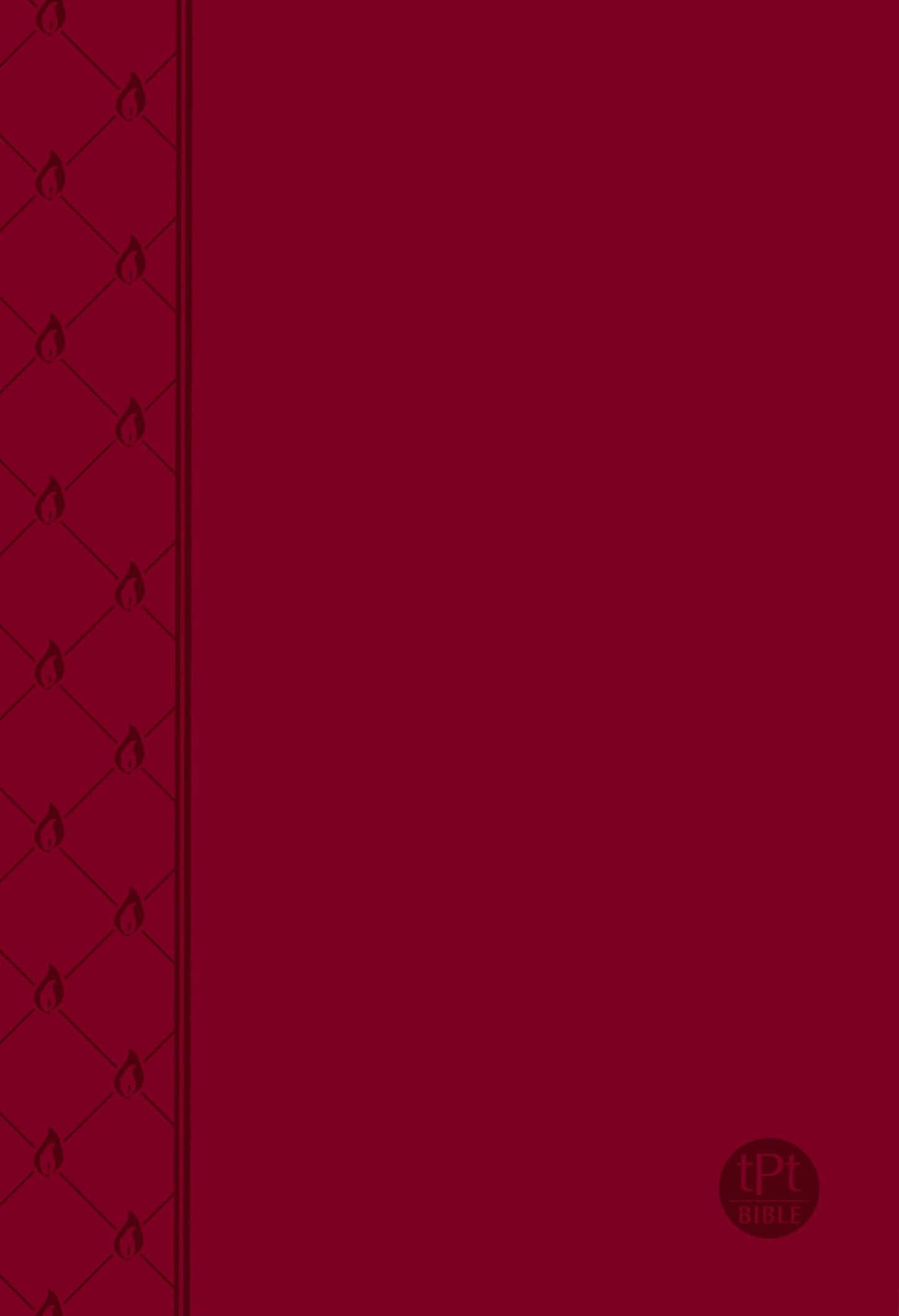 The Passion Translation - New Testament with Psalms, Proverbs & Song of Songs - Red Imitation Leather (2nd Edition)