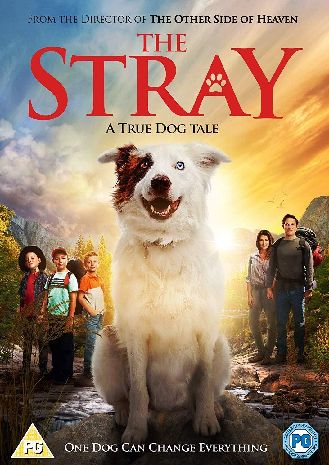 The Stray DVD