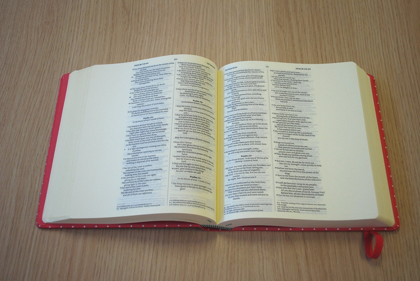 NIV Pink Polka Dot Journalling Bible with Unlined Margins