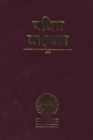 Hindi - Bible