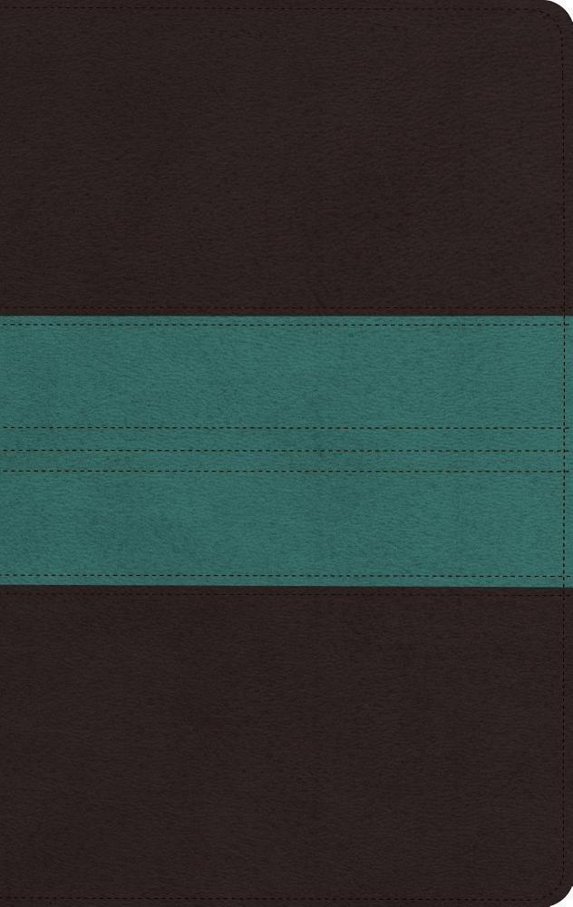 ESV: Large Print Personal Size Bible, Trutone, Dark Brown/Teal