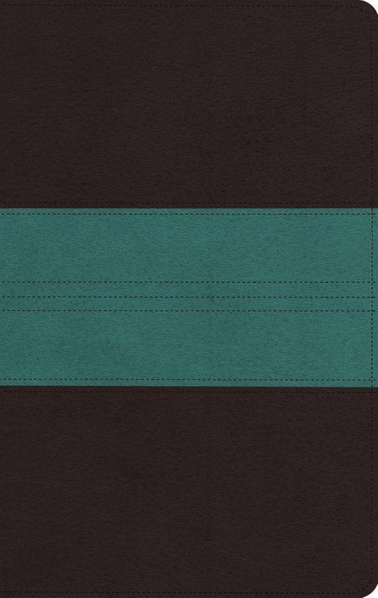 ESV: Large Print Personal Size Bible, Trutone, Dark Brown/Teal