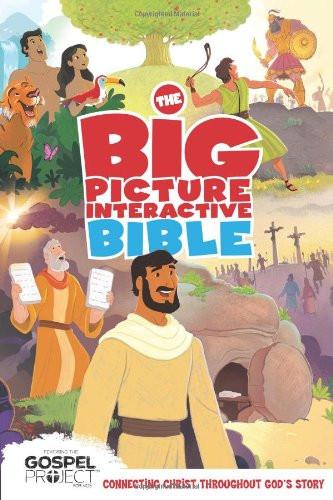 The Big Picture Interactive Bible Hardback