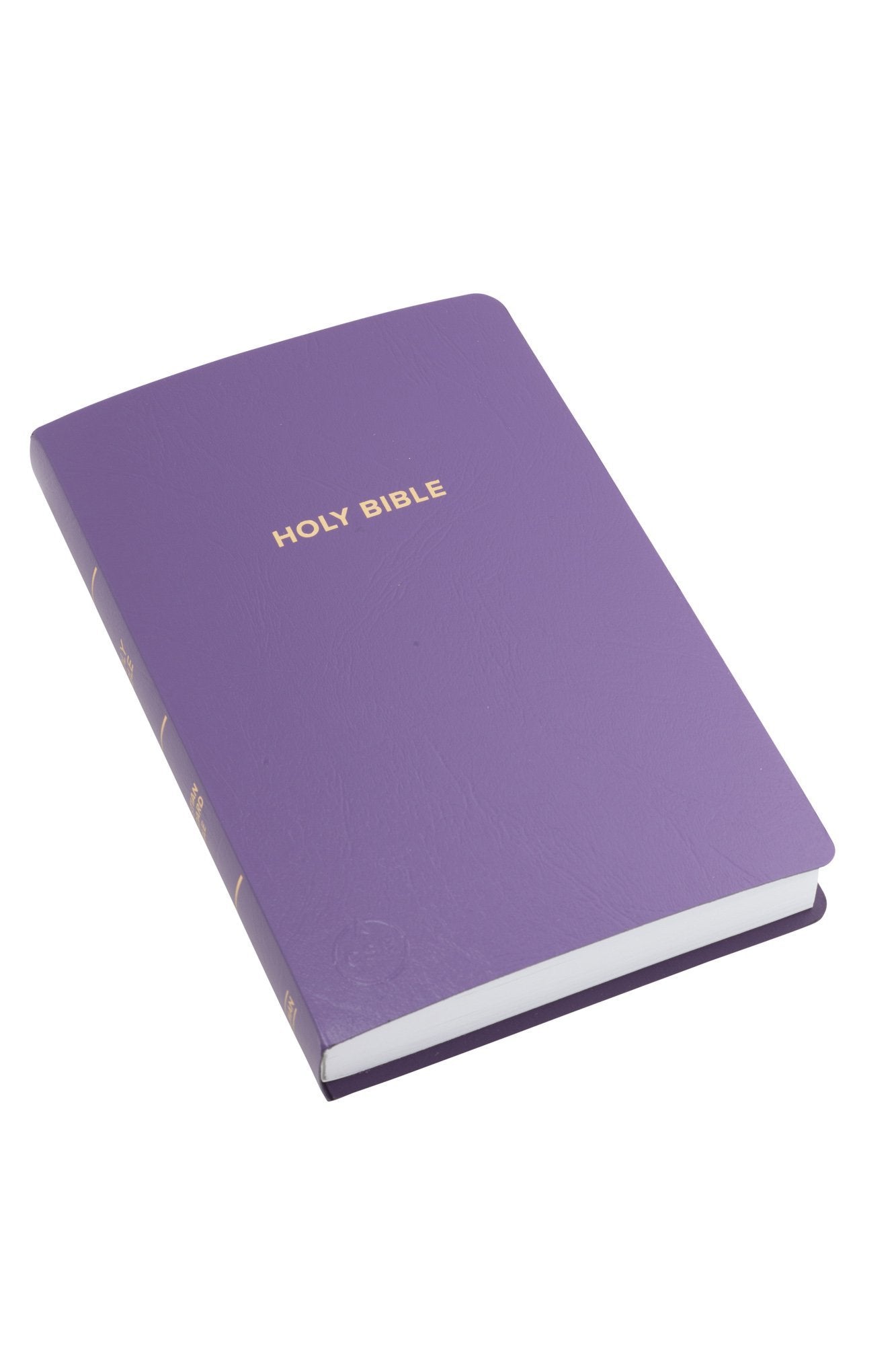 CSB Gift & Award Bible, Purple