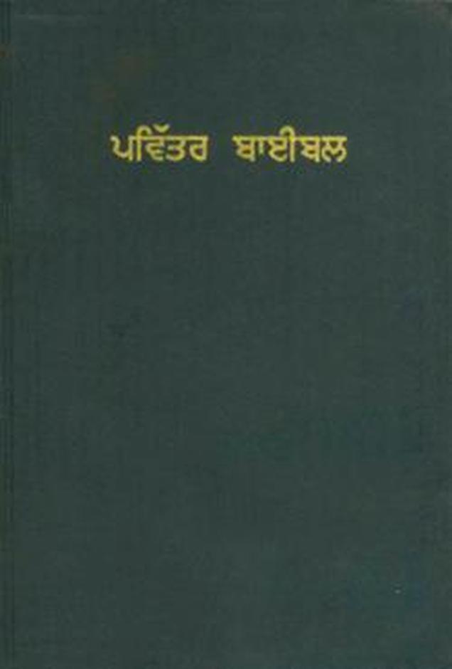 Punjabi - Bible (Contemporary)