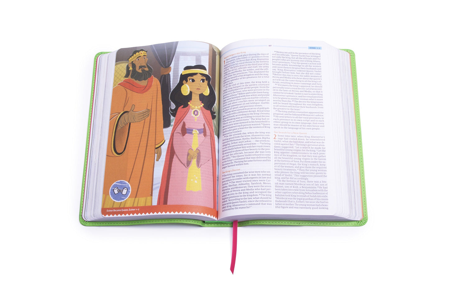 CSB Big Picture Interactive Bible, The Flowers Leathertouch