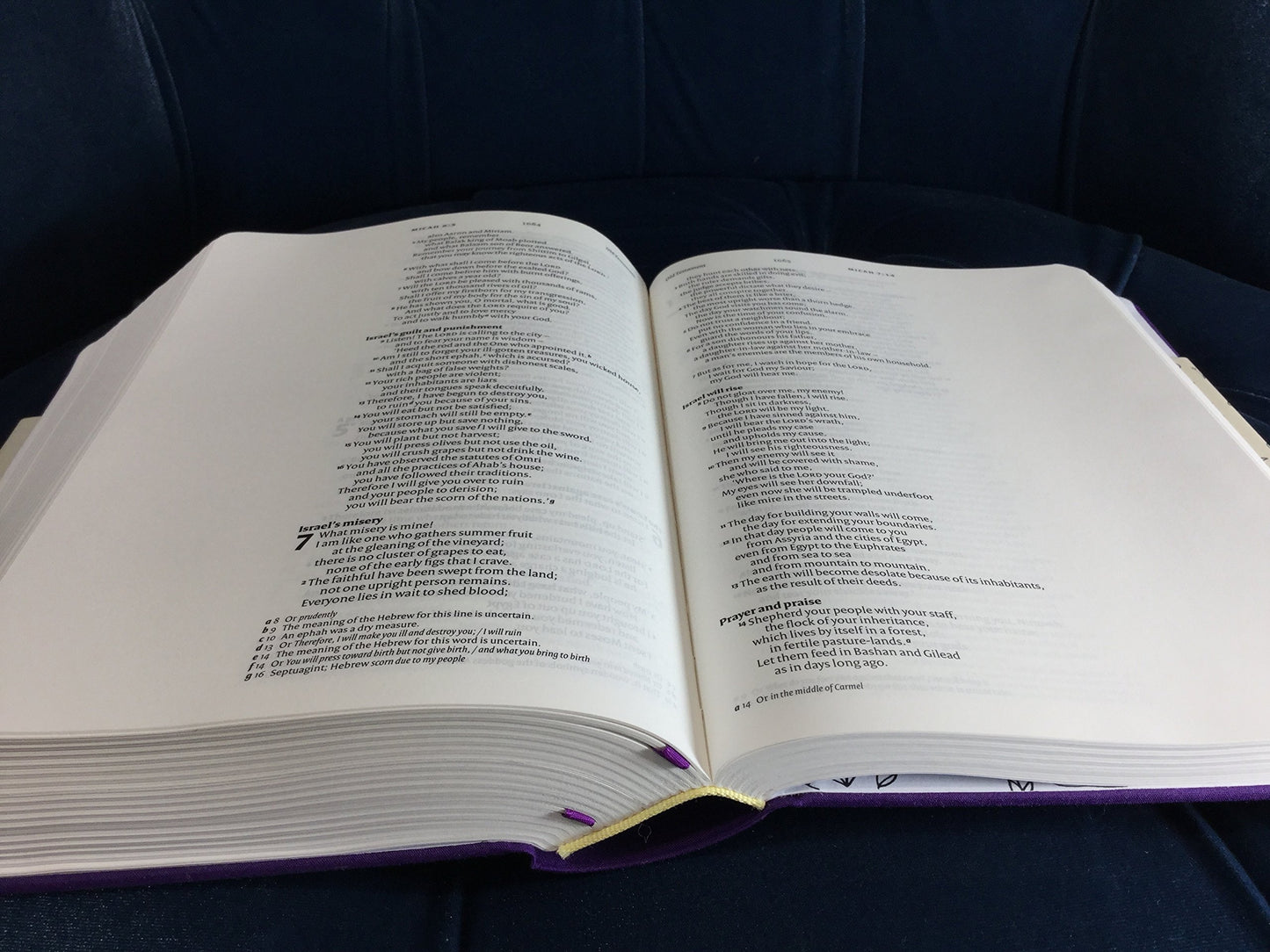 NIV Purple Single-Column Journalling Bible