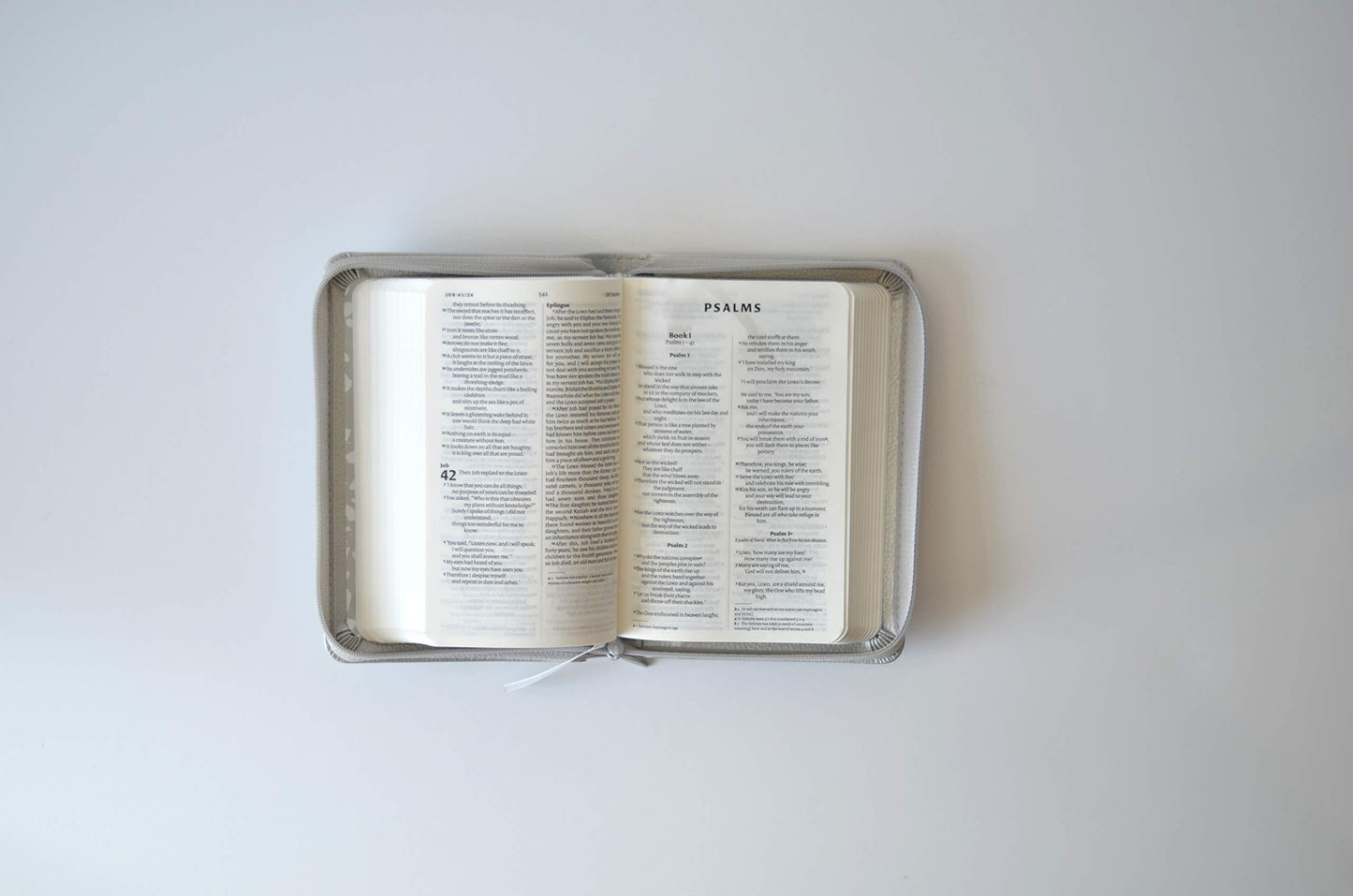 NIV Pocket Silver Soft-tone Bible with Zip